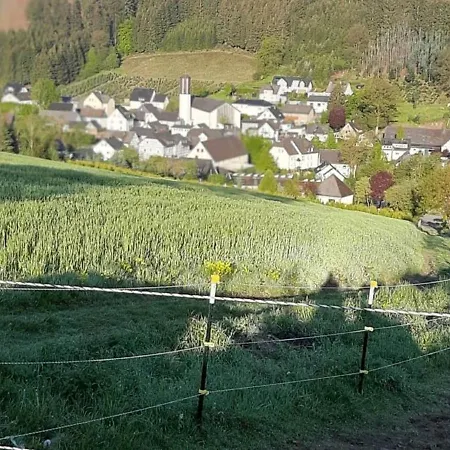 Apartamento Spacious Holiday In Bestwig For Groups Heringhausen